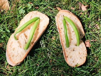 Flip-flop made of breads and beans on grassy field