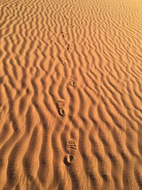 Full frame shot of sand dune in desert