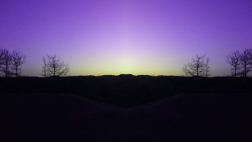 Bare trees on landscape at sunset