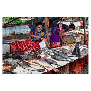 High angle view of fish for sale in market