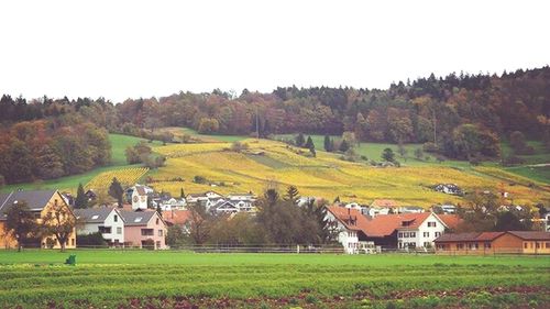 Houses on field