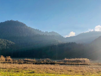 Scenic view of field against sky