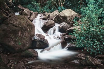 Scenic view of waterfall in forest