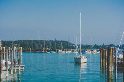 Sailboats moored on sea against clear blue sky