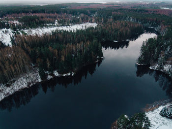 High angle view of lake in forest during winter