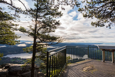 Landscape of trees and a viewing platform above a valley at mount erie fidalgo island in washington