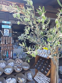 High angle view of potted plants on table at market