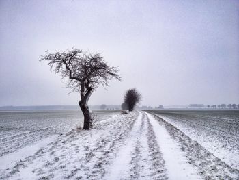 Bare trees on snow covered field against sky