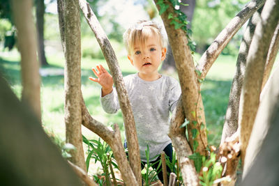 Portrait of cute boy standing on tree trunk
