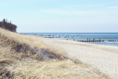 Scenic view of beach against blue sky