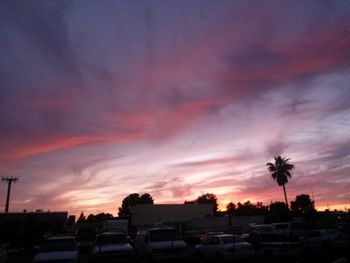 Silhouette of trees at sunset
