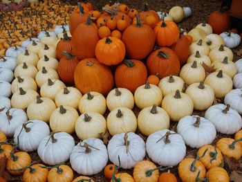 High angle view of pumpkins in market