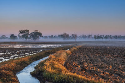 Small irrigation canal in the middle of the rice fields in the countryside roi et, thailand