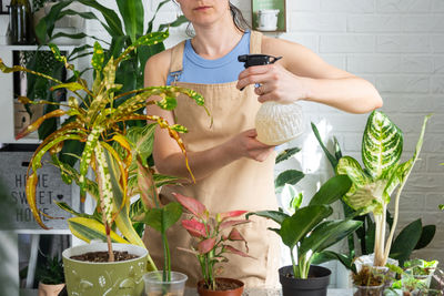 plant