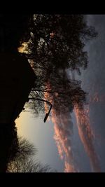 Reflection of silhouette trees on water against sky