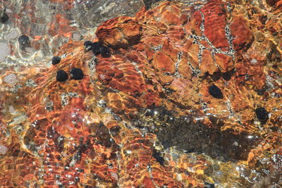 Full frame shot of rock with sea in background