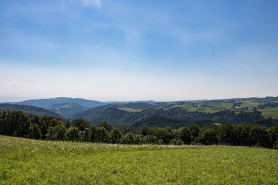 Scenic view of field against sky