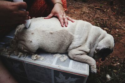 Midsection of man sleeping on dog