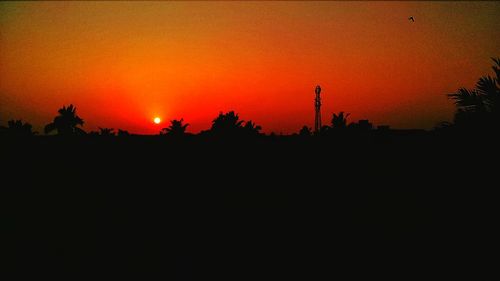 Silhouette trees at sunset