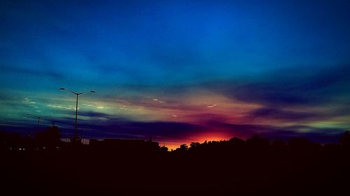 Silhouette of trees at sunset