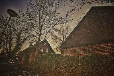 Bare tree and house against sky