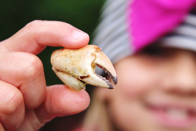 Close-up of hand holding bread