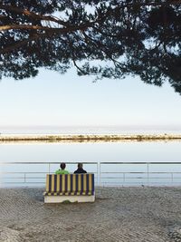 Rear view of man and woman sitting on bench at riverbank