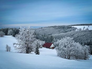 Lonely cabin in the mountains during winter surrounded by trees covered in snow