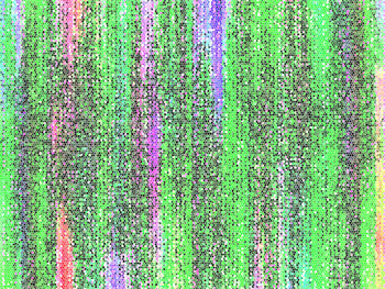 Full frame shot of multi colored flowering plant