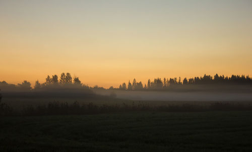 Scenic view of landscape during foggy weather