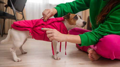 Midsection of woman holding dog