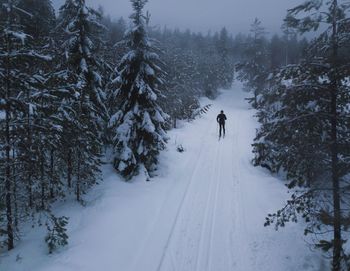 Man skiing on snow covered road