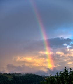 Scenic view of rainbow over trees against cloudy sky