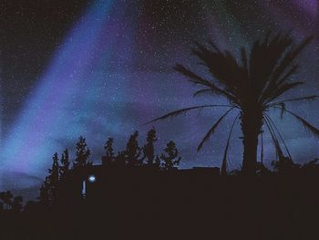 Low angle view of trees against star field