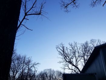 Low angle view of bare trees against blue sky