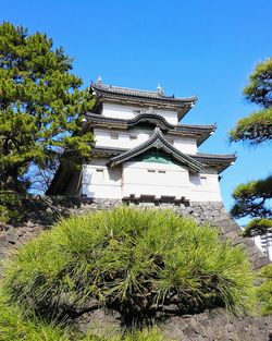 Low angle view of plants by building against sky