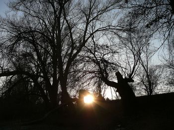 Silhouette bare trees against sky during sunset