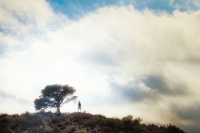 Low angle view of trees against cloudy sky