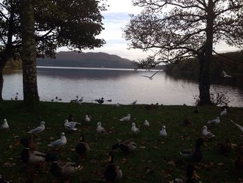 View of calm lake against sky