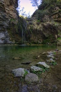 Scenic view of lake in forest