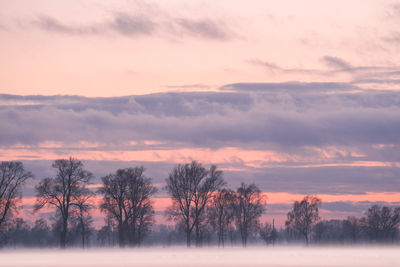 Silhouette trees on landscape against sky during sunset