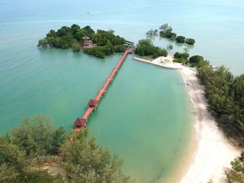 High angle view of sea and trees