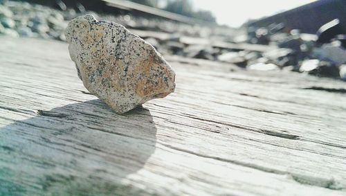 Close-up of wooden plank