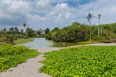 Scenic view of green landscape against sky