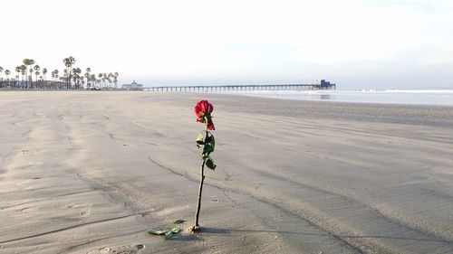 Man on beach against sky