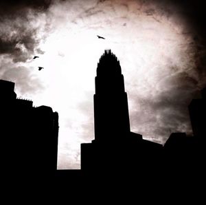 Low angle view of birds flying in sky