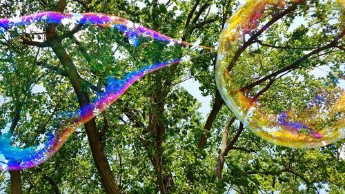 Low angle view of multi colored tree against sky