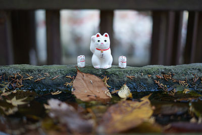 Close-up of toys on leaves