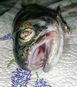 Close-up of fish in market