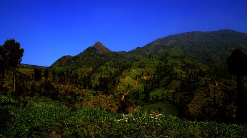 Scenic view of mountains against clear blue sky